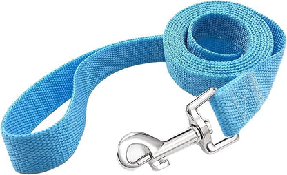 TAIAN 4 FT Strong Dog Leash, Nylon Dog Leashes for Small Medium Large Dogs Blue