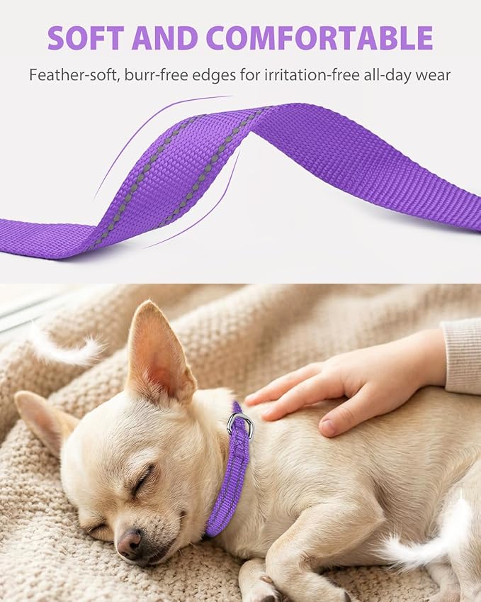 Joytale Puppy Collar, Feather-Light Double-Sided Reflective Nylon Collar for Night Safety, Adjustable Quick-Release for Extra Small Dogs, Purple, XS (3/8" Width)