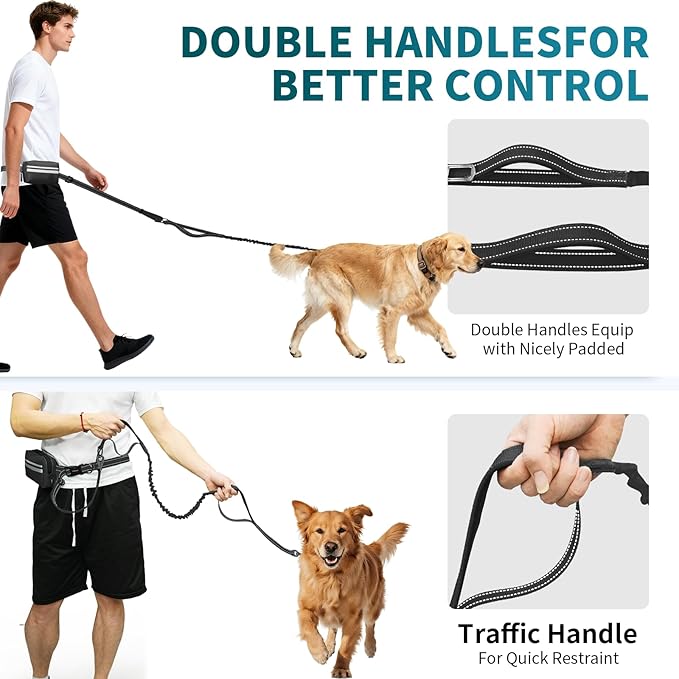 Hands Free Dog Leash with Removable Zipper Pouch, Dual Padded Handles and Durable Bungee for Walking, Jogging and Running Your Dog (Large,35-140 lbs -Black