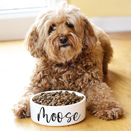GUANKE Personalized Ceramic Pet Bowls, Custom Small Medium Large Dog Food Dishes, Puppy Cat Rabbit Water Bowl, Custom Name, S/M/L Size for All Pets