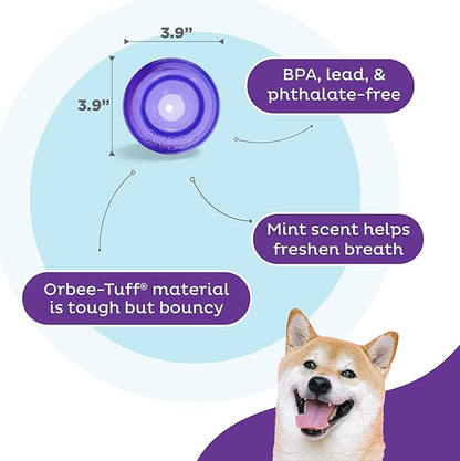 Outward Hound by Planet Dog Lil' Snoop Dog Toy – Treat‑Dispenser Puzzle Ball, Interactive Slow Feeder, Small to Medium Dogs, Bouncy & Mint-Infused, Purple, 3.9"