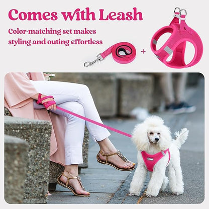 rabbitgoo Dog Harness Small Sized and Leash Set, Step in Soft Light Puppy Vest, Breathable Mesh Pet Harness, Reflective for Safe Easy Walking, Rose Red XS