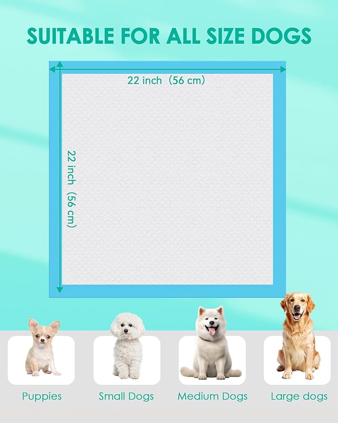 JollyMate Punny Pee Pads 22"x22", 100 Pack Strong Absorption & Leak-Proof Dog Pee Pads, Waterproof and Quick-Dry Pee Pads for Dogs and Cats, Rabbits