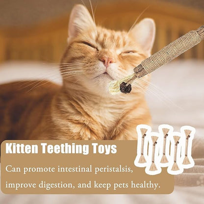 Natural Silvervine Dental Sticks, Silvervine Sticks for Cats, Natural Dental Stick (5pc)