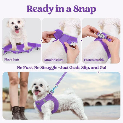 rabbitgoo Dog Harness Small Medium Sized and Leash Set, Step in Soft Light Puppy Vest, Breathable Mesh Pet Harness, Reflective for Safe Outdoor Walking, Purple L