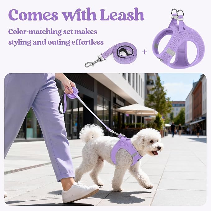 rabbitgoo Dog Harness Small Sized and Leash Set, Step in Soft Light Puppy Vest, Breathable Mesh Pet Harness, Reflective for Safe Easy Walking, Light Purple M