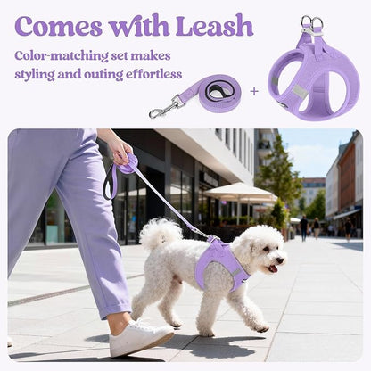 rabbitgoo Dog Harness Small Sized and Leash Set, Step in Soft Light Puppy Vest, Breathable Mesh Pet Harness, Reflective for Safe Easy Walking, Light Purple M