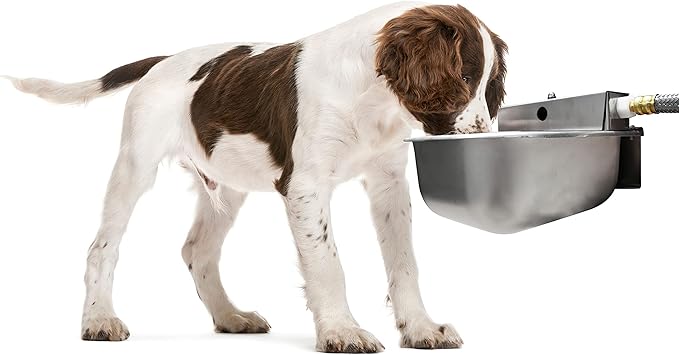 Nelson Rust Proof Stainless Steel Outdoor Automatic Dog Waterer Bowl Dispenser - Easy To Clean and sanitize, Quick Setup With Fresh Water Refill - Perfect Alternative Choice For Livestock Farm Animals