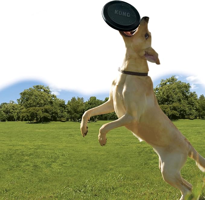 KONG Extreme Flyer - Dog Toy Supports Healthy Exercise - Soft Disc for Dogs - Toy for Fetch & Retrieve - Durable Flying Disc Dog Toy with Rebound - for Large Dogs
