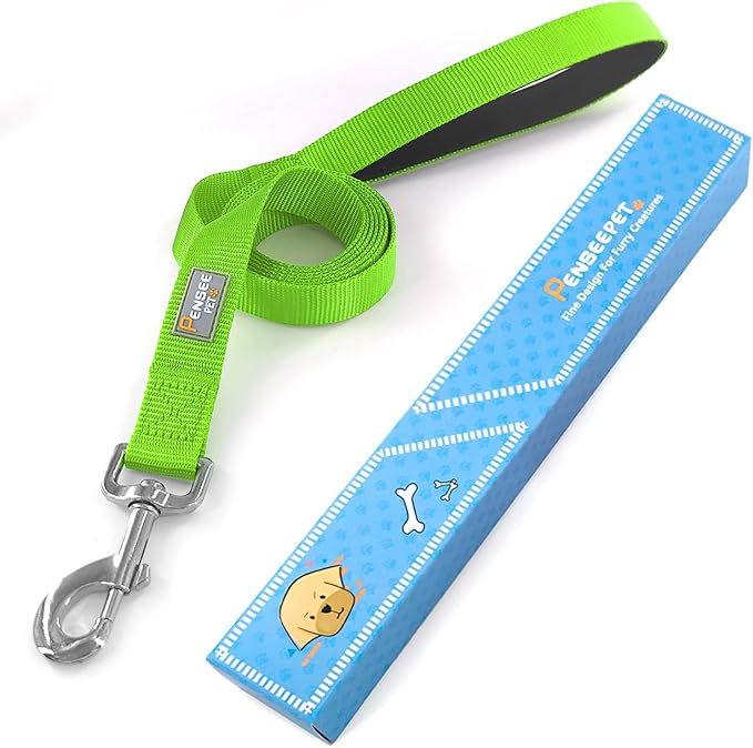 Basic Dog Leashes 6 FT Padded Handle Nylon Dogs Leashes for Large Dogs Green