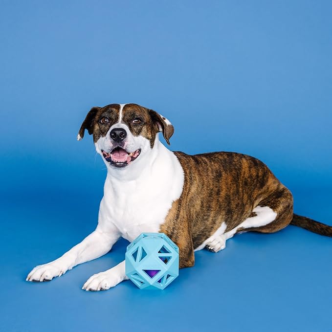 Fringe Studio Sweet ON The Inside Blue Rubber Dog Toy, Pet Shop Collection (518032)