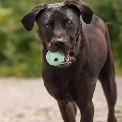 Chew King by Mammoth Dental Dog Toy Collection, Fetch Ball Clinically Proven to Remove Plaque