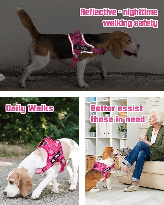 AUROTH Dog Harness and Leash Set, Soft Padded Service Dog Vest with 5.25FT Dog Leash, No Choke, Easy On Pet Vest, Adjustable Reflective No Pull Dog Harness Small Sized Dog, Easy Walking and Training