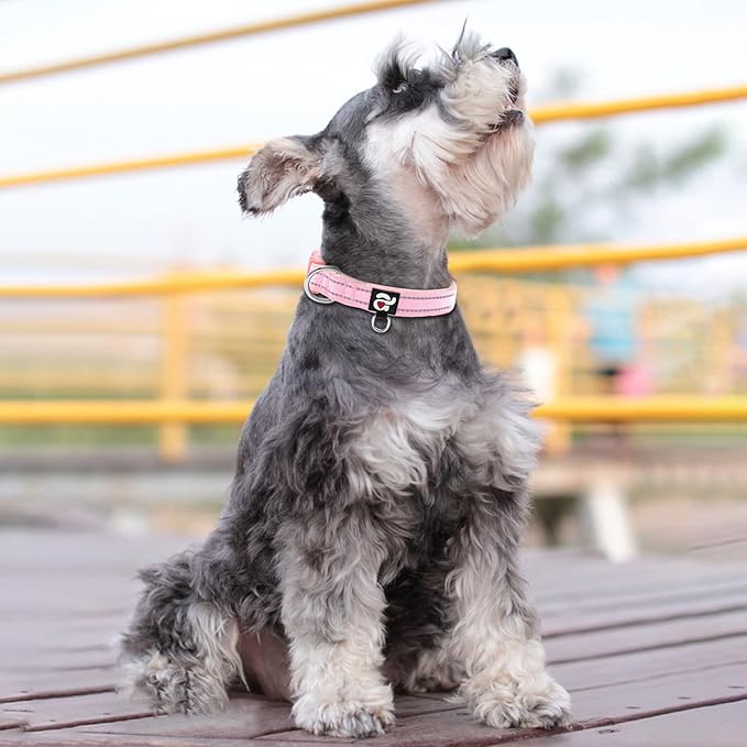 azuza Reflective Dog Collar,Soft Neoprene Padded Pet Collar with ID Tag Ring,Adjustable for Small Dogs,Pink,S