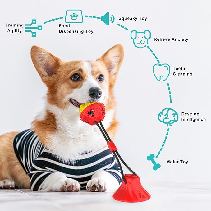 Coolplay Suction Cup Tug of War Toy for Aggressive Chewers, Interactive Treat Dispensing Rope Toy, Dog Enrichment Toys
