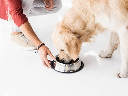 Stainless Steel Dog Bowls, Food and Water Non Slip Anti Skid Stackable Pet Puppy Dishes for Small, Medium and Large Dogs (2 Pack)