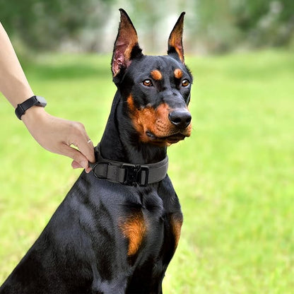 Tactical Dog Collar, Adjustable Military Training Nylon Dog Collar with Control Handle and Heavy Quick-Release Metal Buckle for Small Medium Large Dogs, Grey XL