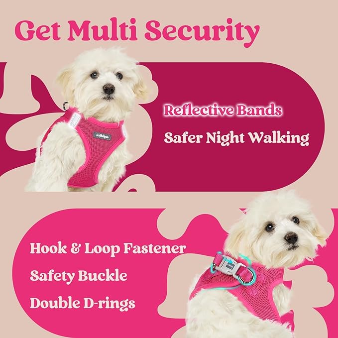 rabbitgoo Small Dog Harness, Step-in Soft Mesh Puppy Vest with Safety Buckle, Breathable Reflective Pet Harness for Extra Small Dogs, Rose Red XXXS