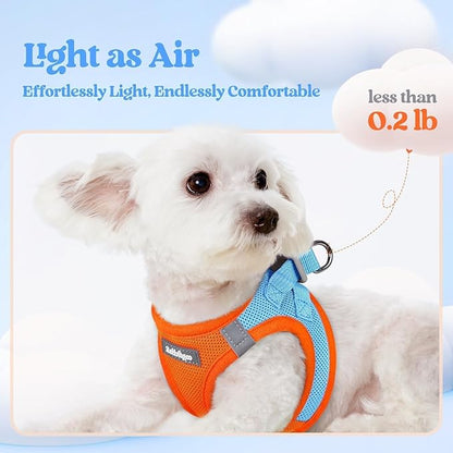 rabbitgoo Dog Harness Small Sized and Leash Set, Step in Soft Light Puppy Vest, Breathable Mesh Pet Harness, Reflective for Safe Easy Walking, Blue & Orange XXS