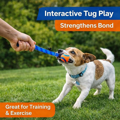 Ultra Duo Tug Rope Dog Toy 2” Small for Puppies & Small Dogs 0–20 lb, Indoor Outdoor Fetch & Interactive Play, Durable Braided Toy, Pack of 1
