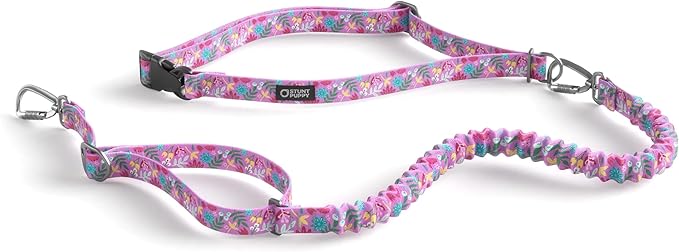 Stunt Puppy Stunt Runner Hands-Free Dog Leash, Frolic Summer
