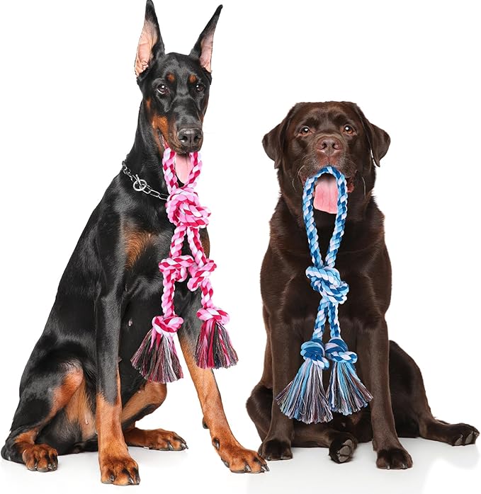 BINGPET 2 Pack Dog Rope Toy for Large and Medium Dogs,Heavy Duty Tug of War Dog Toy,Cotton Tough Dog Chew Teething Toys for Aggressive Chewers
