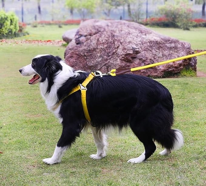 MayPaw 4/6 /8/10 FT Dog Leash, Classic Solid Colors, Strong Nylon Rope Dog Leash Reinforced with Leather Tailor Connection Heavy Duty Silver Clasp (Yellow, 4ft*1/2")