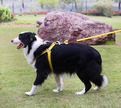 MayPaw 4/6 /8/10 FT Dog Leash, Classic Solid Colors, Strong Nylon Rope Dog Leash Reinforced with Leather Tailor Connection Heavy Duty Silver Clasp (Yellow, 4ft*1/2")