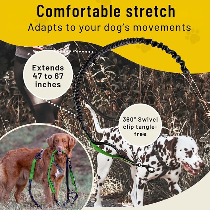 Hundefreund Hands-Free Dog Leash Replacement Bungee (47–67”) – Extension for Medium & Large Dogs – Shock-Absorbing with Dual Handles & Reflective Stitching (Green)