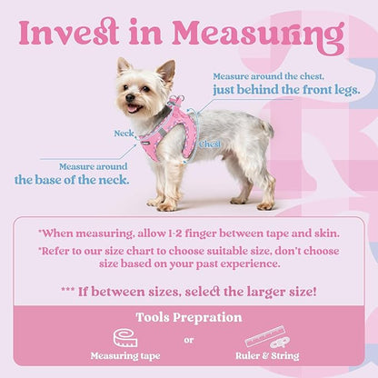 rabbitgoo Small Dog Harness, Step-in Soft Mesh Puppy Vest with Safety Buckle, Breathable Reflective Pet Harness for Small Medium Dogs, Pink & Plaid Trim L
