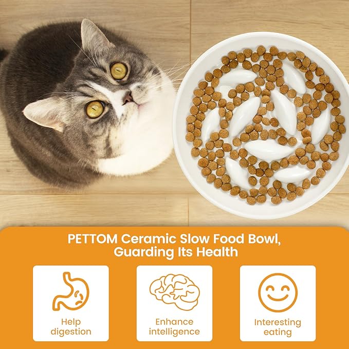 PETTOM Slow Feeder Cat Bowl with Stand, Ceramic Slow Eating Cat Bowl with Higher Edges Fish Pool Design Elevated Food Bowls for Dry and Wet Food Anti-Vomiting Puzzle Feeder for Healthy Eating Diet