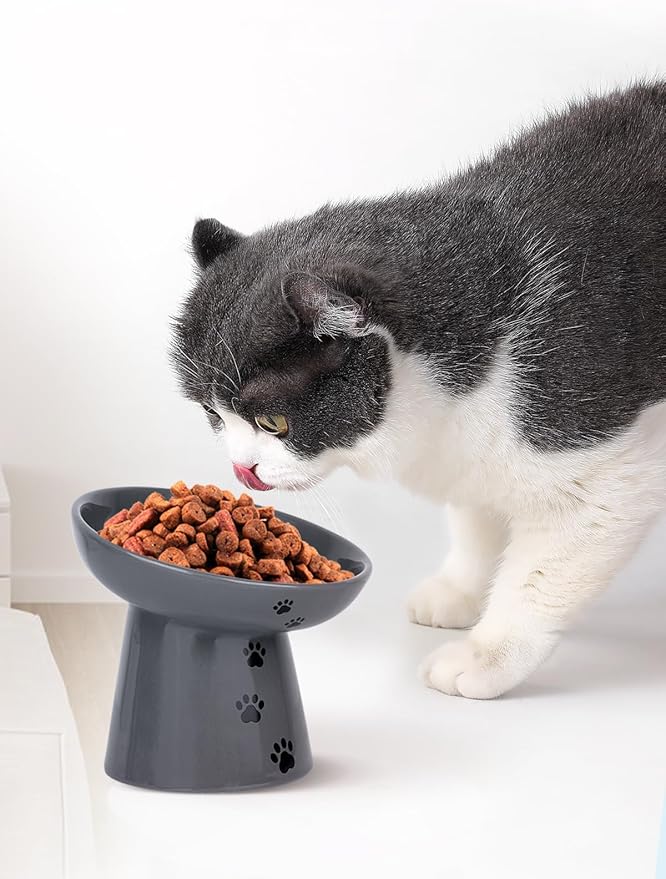 Y YHY Slow Feeder Cat Bowl, Ceramic Cat Slow Feeder Bowl, 6 Inches, Elevated, Anti Vomiting for Dry and Wet Food, Gray