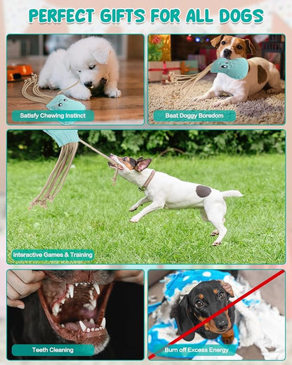 SCHITEC Dog Rope Toys, Plush Crinkle Tug of War Toy for Small Medium Dogs, Interactive Octopus Stuffed Chew Toy for Puppy Teething