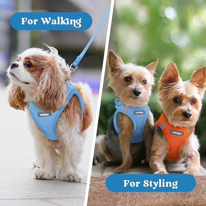 rabbitgoo Small Dog Harness, Step-in Soft Mesh Puppy Vest with Safety Buckle, Breathable Reflective Pet Harness for Extra Small Dogs, Blue XXXS