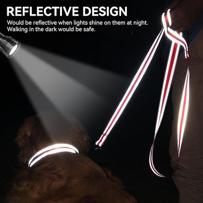 Joytale Dog Leash, 4 FT Double-Sided Reflective, Padded Handle Nylon Heavy Duty Leashes for Medium & Large Dogs Walking, Red