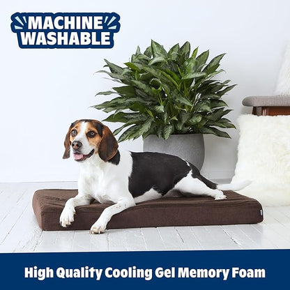 Barkbox Orthopedic Dog Bed | Comfortable Memory Foam Mattress for Joint Relief | Head and Neck Support Waterproof with Non Skid Bottom | Calming Durable Bed with Washable Cover | Small, Espresso