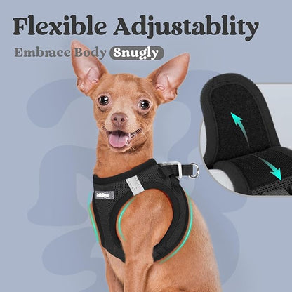 rabbitgoo Small Dog Harness, Step-in Soft Mesh Puppy Vest with Safety Buckle, Breathable Reflective Pet Harness for Extra Small Dogs, Black XXXS
