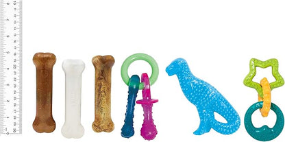 Nylabone New Puppy Starter Kit, 5 Chew Toys and 1 Natural Treat for Puppies, Multi Color, Bacon & Chicken Flavor, Small Dogs - Up to 25 lbs., 6 Pack