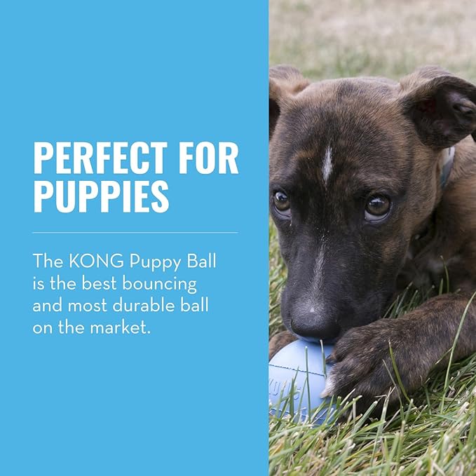 KONG Puppy Ball w/ Hole - Soft & Durable Activity Ball for Puppies - Dog Toy Supports Healthy Exercise & Interactive Play - Dog Toy for Natural Teething - For Small Puppies - Assorted Colors