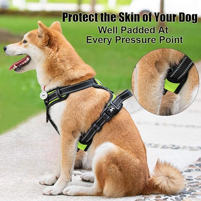 PoyPet No Pull Dog Harness, Reflective Comfortable Vest Harness with Front & Back 2 Leash Attachments and Easy Control Handle Adjustable Soft Padded Pet Vest for Small to Large Dogs (Green,M)