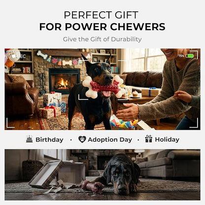 2-Pack Dog Toys for Aggressive Chewers, Indestructible 8" Tough Nylon Bone, Teething & Boredom Relief Chew for Large Dogs, Beef Flavor