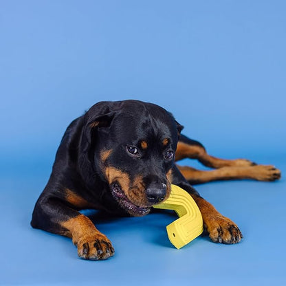 Fringe Studio Color ME Happy Yellow Rubber Dog Toy, Pet Shop Collection (518037)