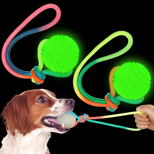 2 Pcs Dog Training Ball on Rope Glow in The Dark Ball 2.36 Inch Toys with 12 Inch Rope for Small Large Medium Dogs Glowing Interactive Pull Reward Fetch Exercise Toy