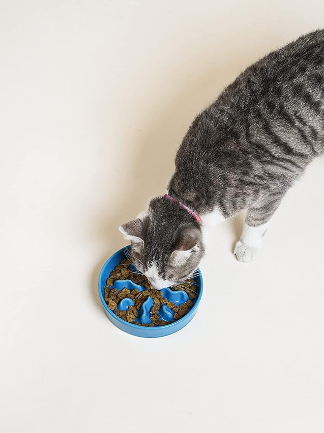LE TAUCI PET Ceramic Slow Feeder Dog Bowls Small Breed, 0.5 Cups Dog Food Dish for Fast Eaters, Puzzle Bowl for Small Dogs and Cats, 5.5 Inch-Blue