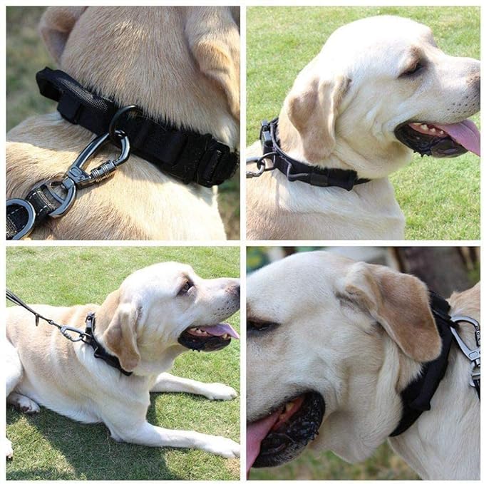 Xqpetlihai Tactical Dog Collar and Leash Set Adjustable Military Nylon Dog Collar with Control Handle and Heavy Duty Metal Buckle for Large Dogs（Black M