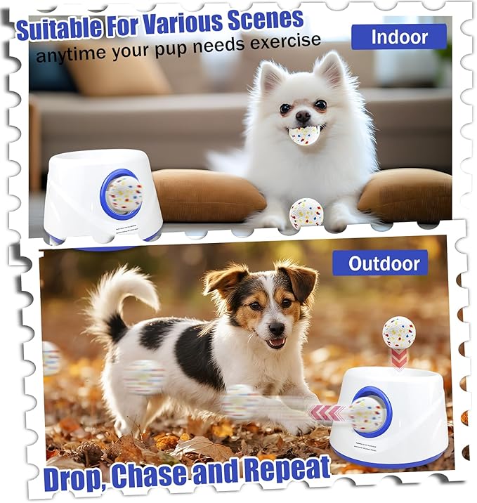 Magicorange Automatic Dog Ball Launcher, Interactive Dogs Balls Thrower for Small and Medium Dogs,Dog Fetch Machine (Blue)