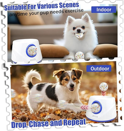 Magicorange Automatic Dog Ball Launcher, Interactive Dogs Balls Thrower for Small and Medium Dogs,Dog Fetch Machine (Blue)