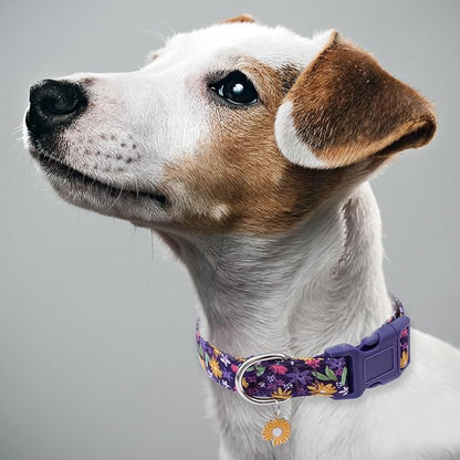 Faygarsle Cotton Dog Collar Cute Dog Collars for Small Medium Large Dogs Purple Yellow Floral Colored Options Soft and Fancy Pet Collars for Girls Flower Pattern for Girl Dog Collar XS