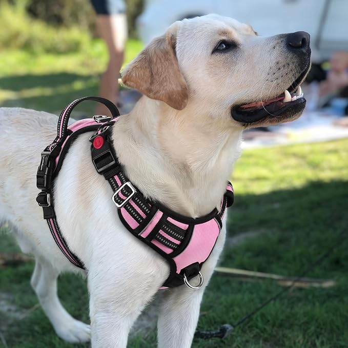 rabbitgoo Dog Harness for Large Dogs, No Pull Pet Vest with 3 Buckles, Adjustable Soft Padded Pet Harness with Easy Control Handle and Reflective Strips, Light Pink, L