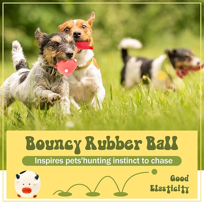Jenaai 11 Pcs Dog Squeaky Toys Squeaky Latex Dog Toys Soft Chew Rubber Dog Toy Rubber Chew Toys for Dogs Assorted Animal Pet Toys Puppy Fetch Pet Interactive Play for Small and Medium Pets